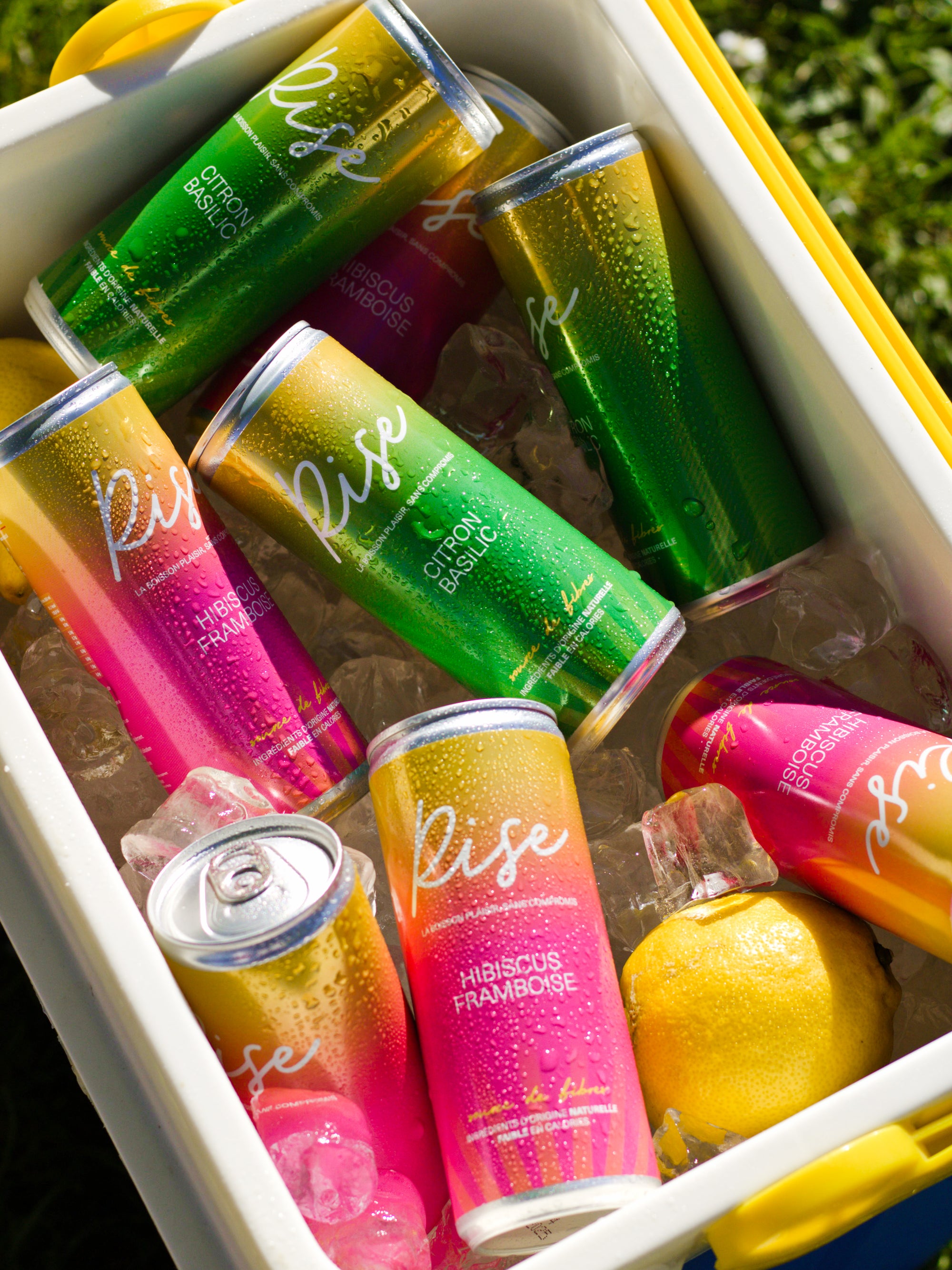 Le pack de 12 RISE DRINKS