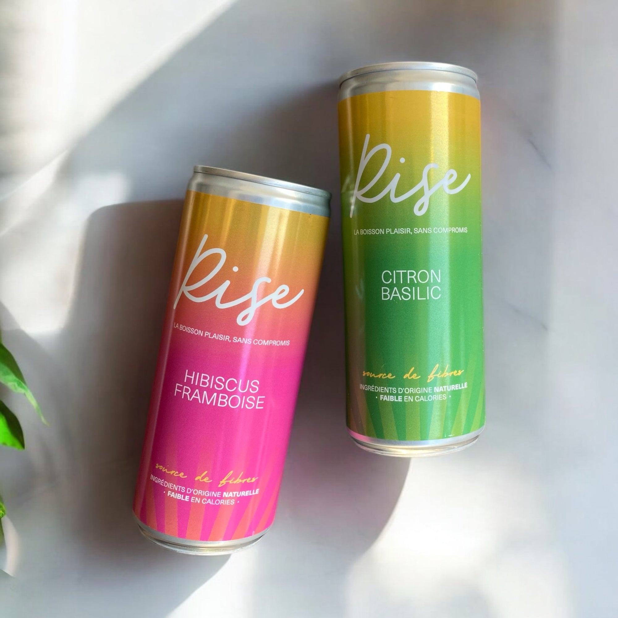 Choose your sunrise - 12x250mL